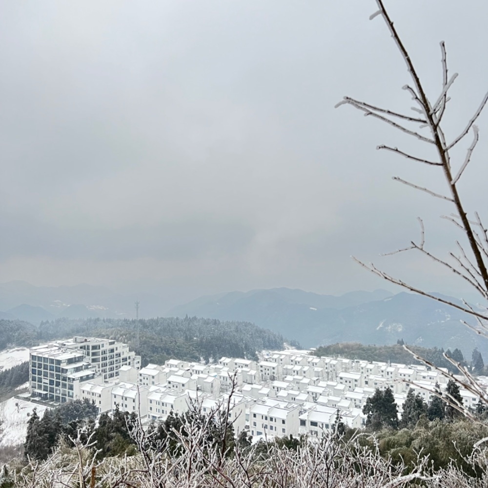 雪后高二